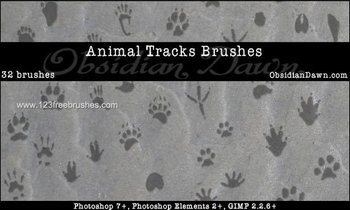 Animal Tracks