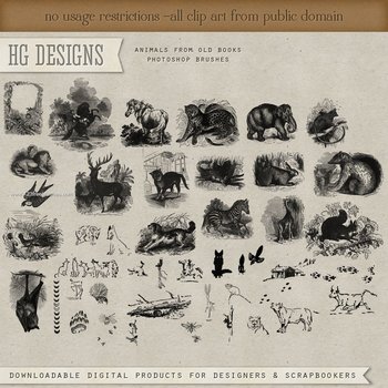 Animals From Old Books