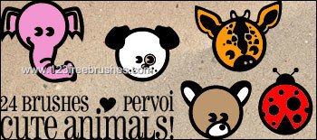 Cute Animal