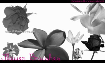 Flower Brushes For Photoshop Cs5