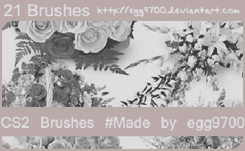 Natural Flower Brushes