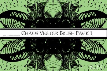 Chaos Vector
