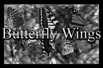 Butterfly Wings