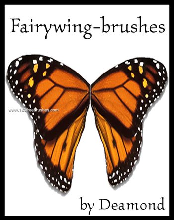 Fairy Wing Butterfly