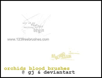 Circle Lyric